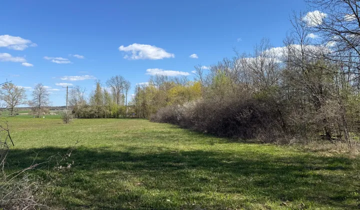 Działka budowlana Ruchenka, ul. Lipowa