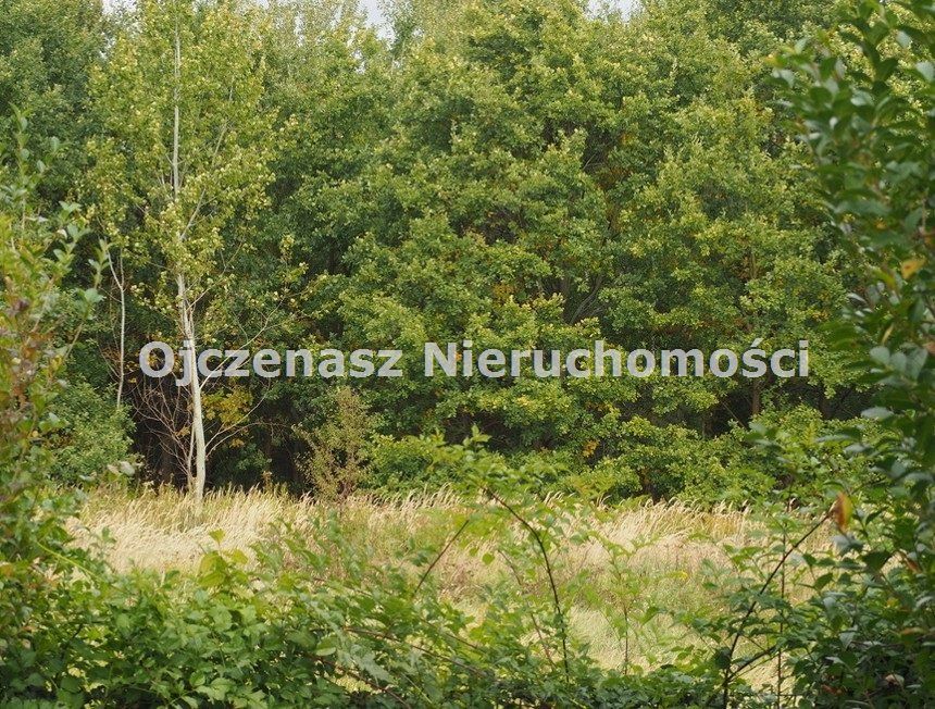 Działka rekreacyjna Koronowo Pieczyska. Zdjęcie 2