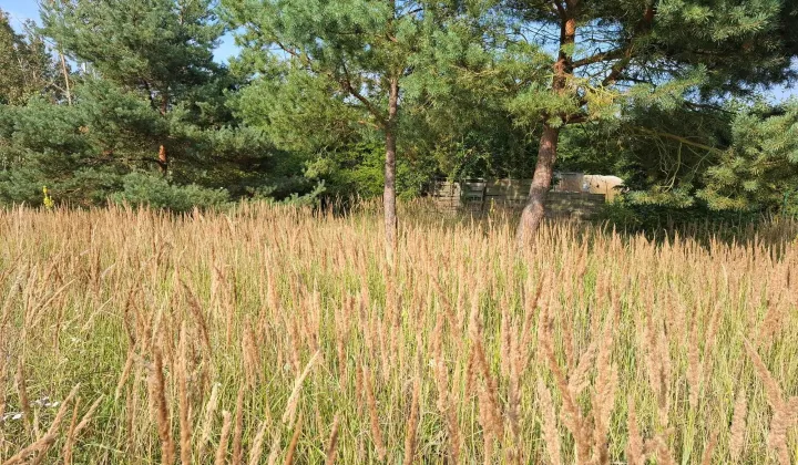 Działka rolno-budowlana Łęgi
