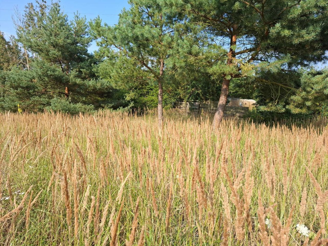 Działka rolno-budowlana Łęgi. Zdjęcie 1