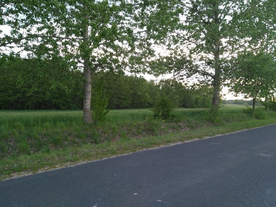 Działka budowlana Trzebiegoszcz. Zdjęcie 3