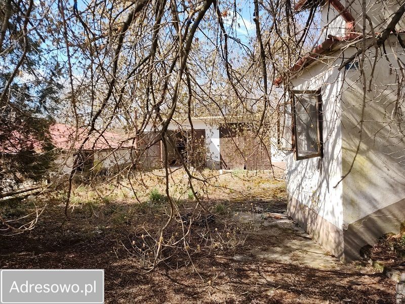 gospodarstwo, 7 pokoi Szczutkowo. Zdjęcie 7