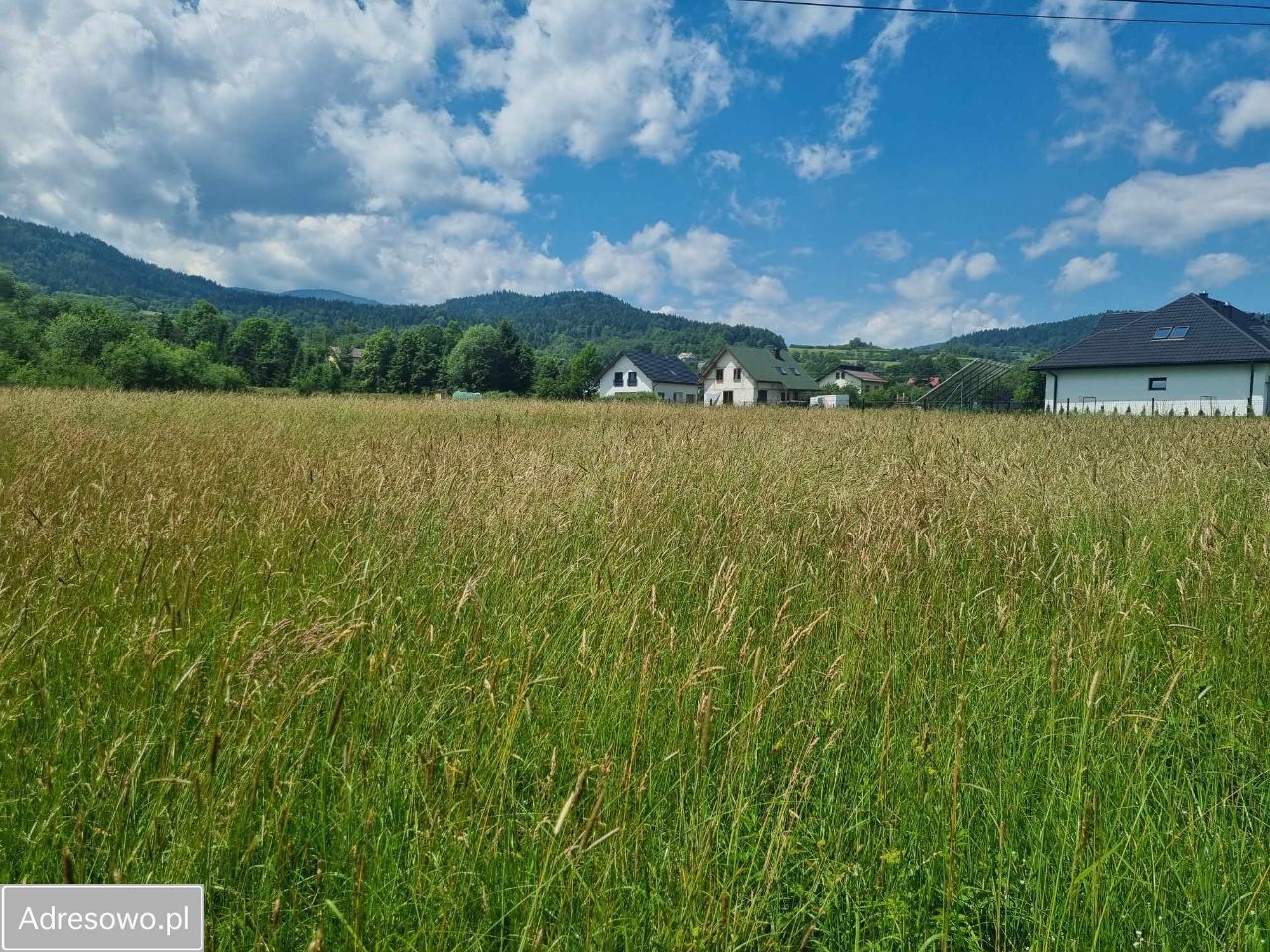 Działka budowlana Kamienica Syjudy. Zdjęcie 2