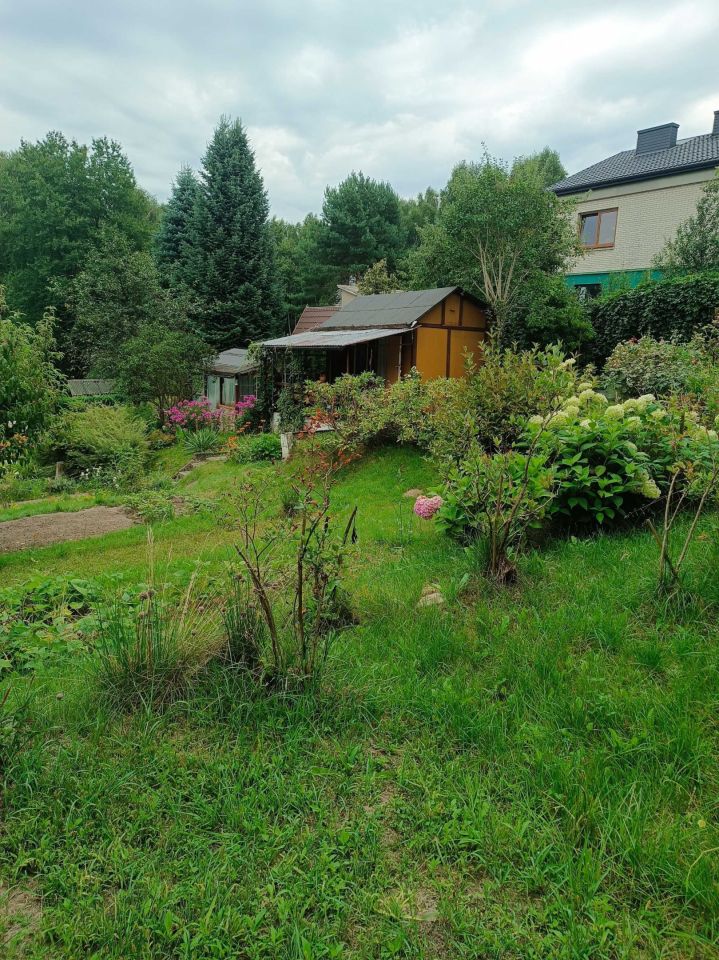 Działka rod Starachowice, ul. Nowowiejska. Zdjęcie 4