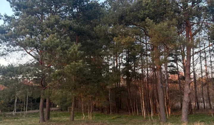 Działka budowlana Kiszewko