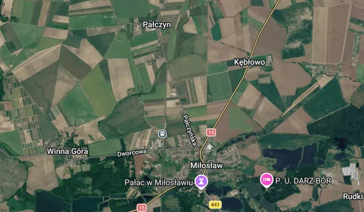 Hala/magazyn Miłosław, ul. Pałczyńska