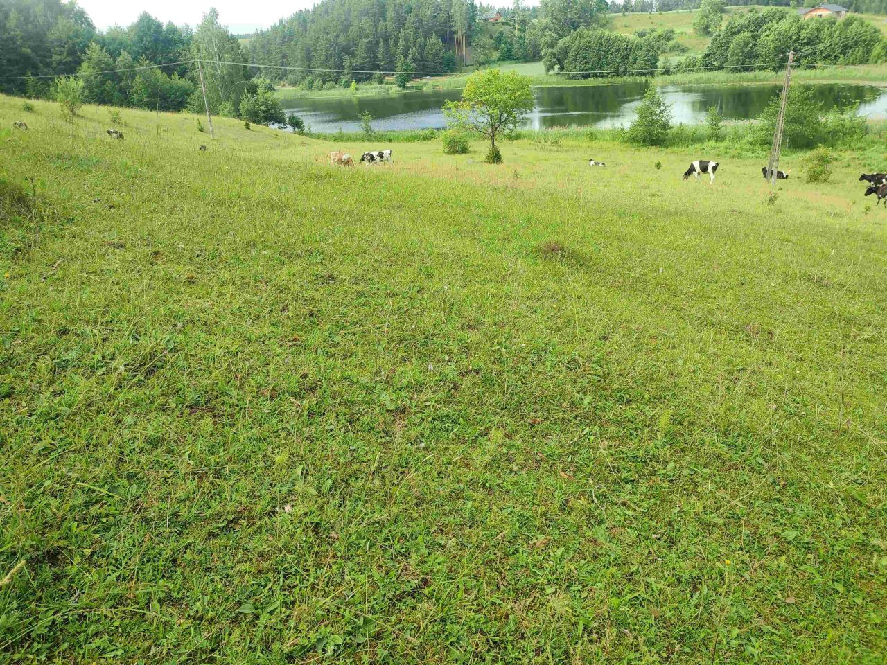 Działka siedliskowa Osinki. Zdjęcie 9