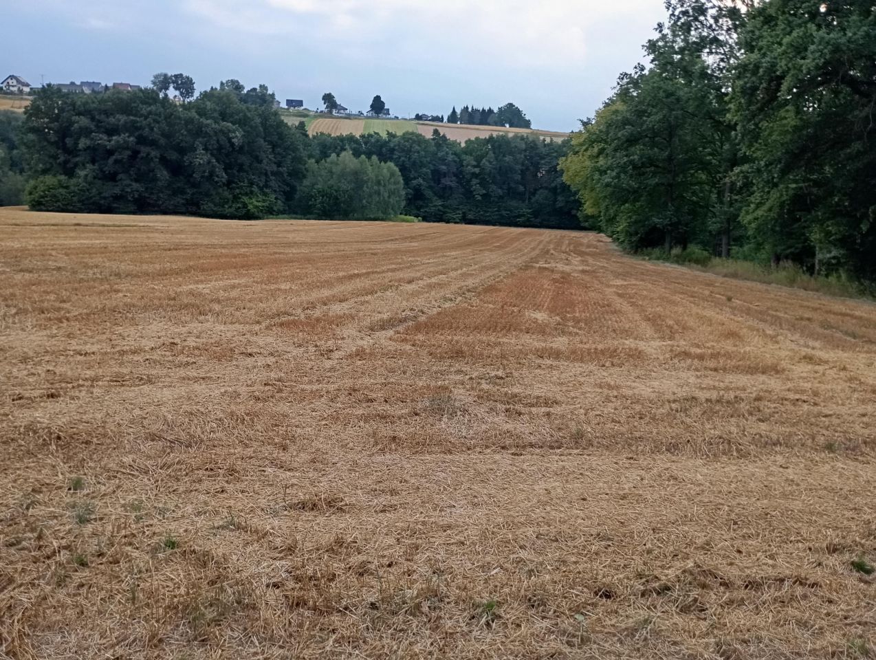 Działka rolno-budowlana Witanowice Zagórze, Zagórze. Zdjęcie 3