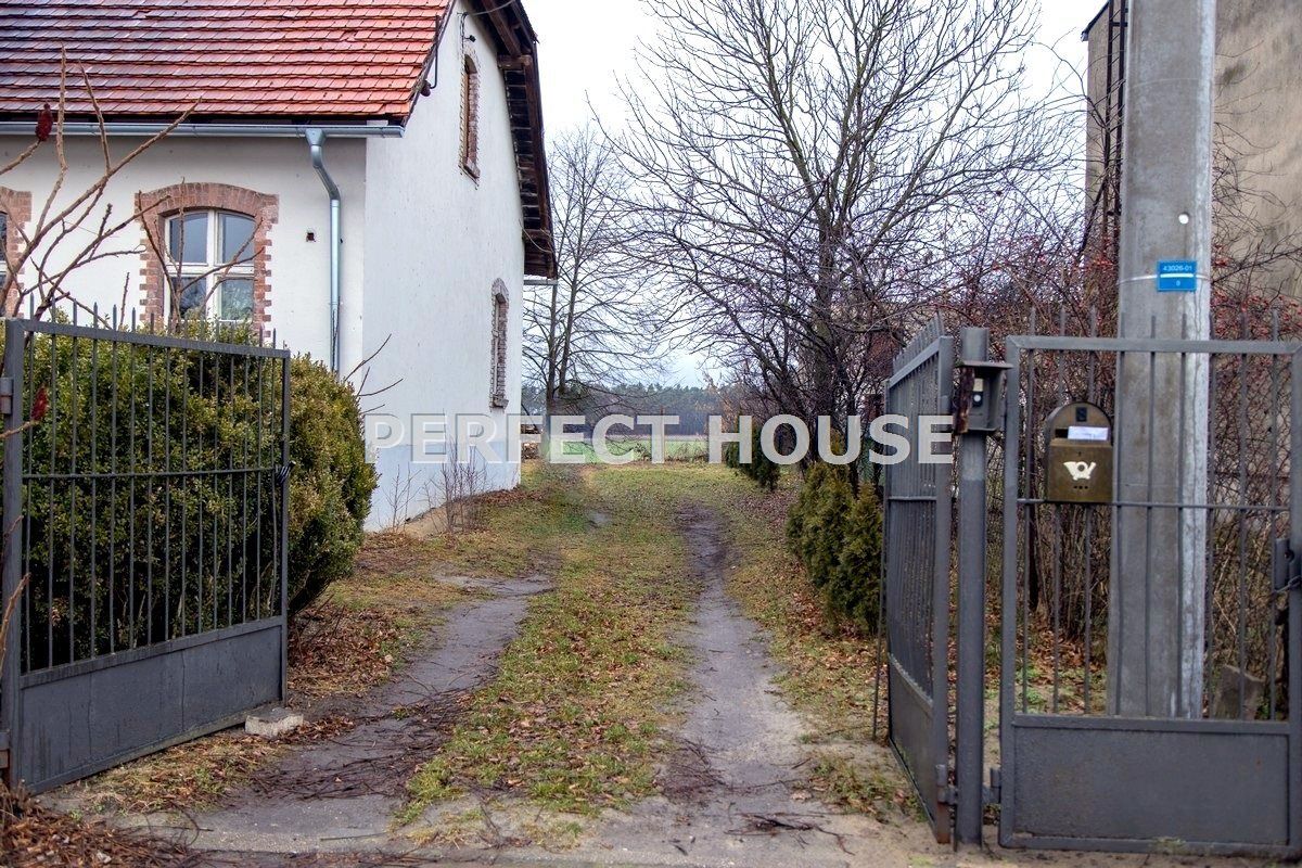 Działka Śmiełów. Zdjęcie 2
