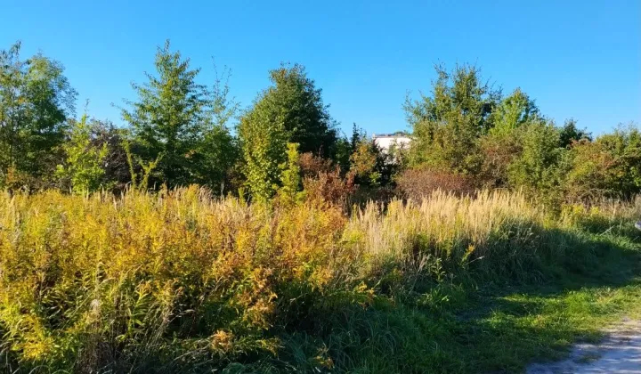 Działka budowlana Malbork