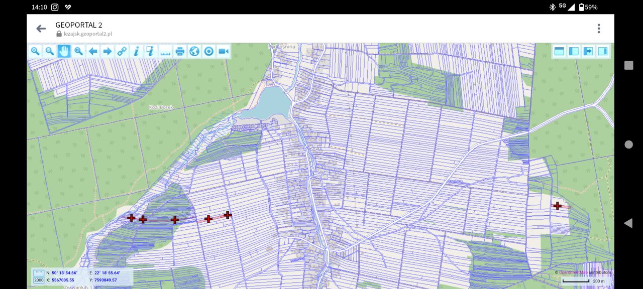 Działka leśna Brzóza Królewska Góra. Zdjęcie 3