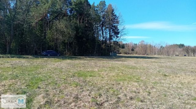 Działka leśna Korczyn. Zdjęcie 8