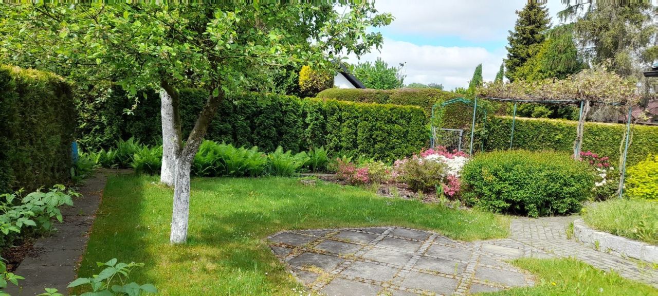 Działka rekreacyjna Racibórz Studzienna, ul. Polna. Zdjęcie 6