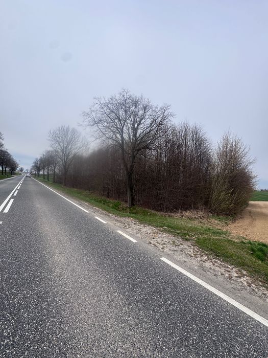 Działka rolna Marcinkowice. Zdjęcie 5