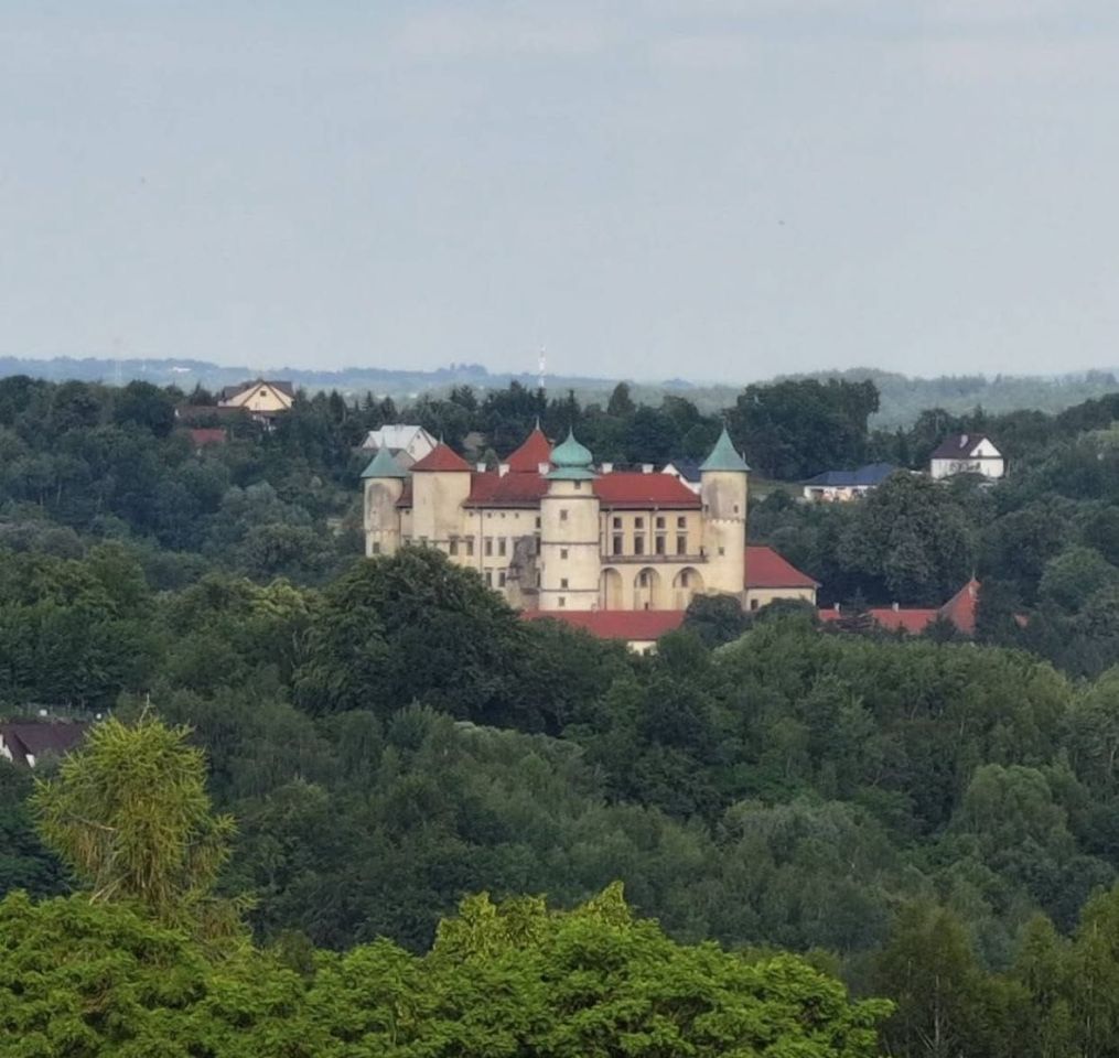 Działka budowlana Olchawa. Zdjęcie 6
