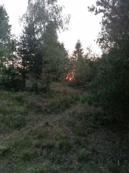 Działka budowlana Gołubie, ul. Jagodowa. Zdjęcie 6
