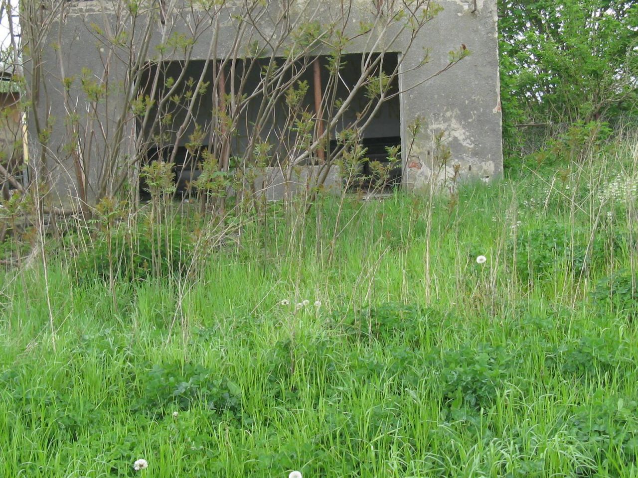 Nieruchomość komercyjna Blizienko. Zdjęcie 3