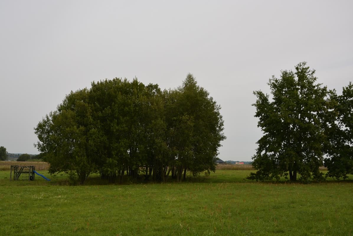 Działka rolno-budowlana Szymonka. Zdjęcie 9