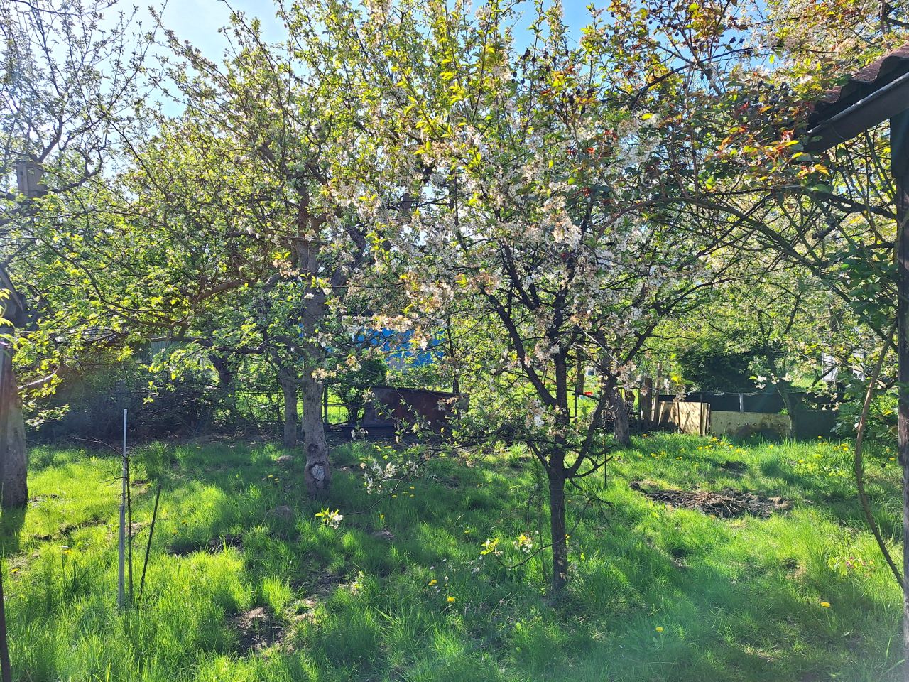 Działka rod Gdańsk Matarnia, ul. mjr. Mieczysława Słabego. Zdjęcie 5