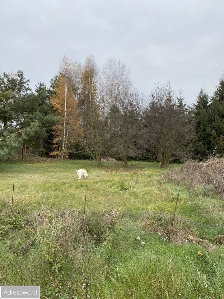 Działka budowlana Kaszczor, ul. Sosnowa. Zdjęcie 5