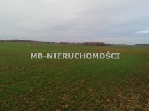 Działka rolna Jurgi. Zdjęcie 4