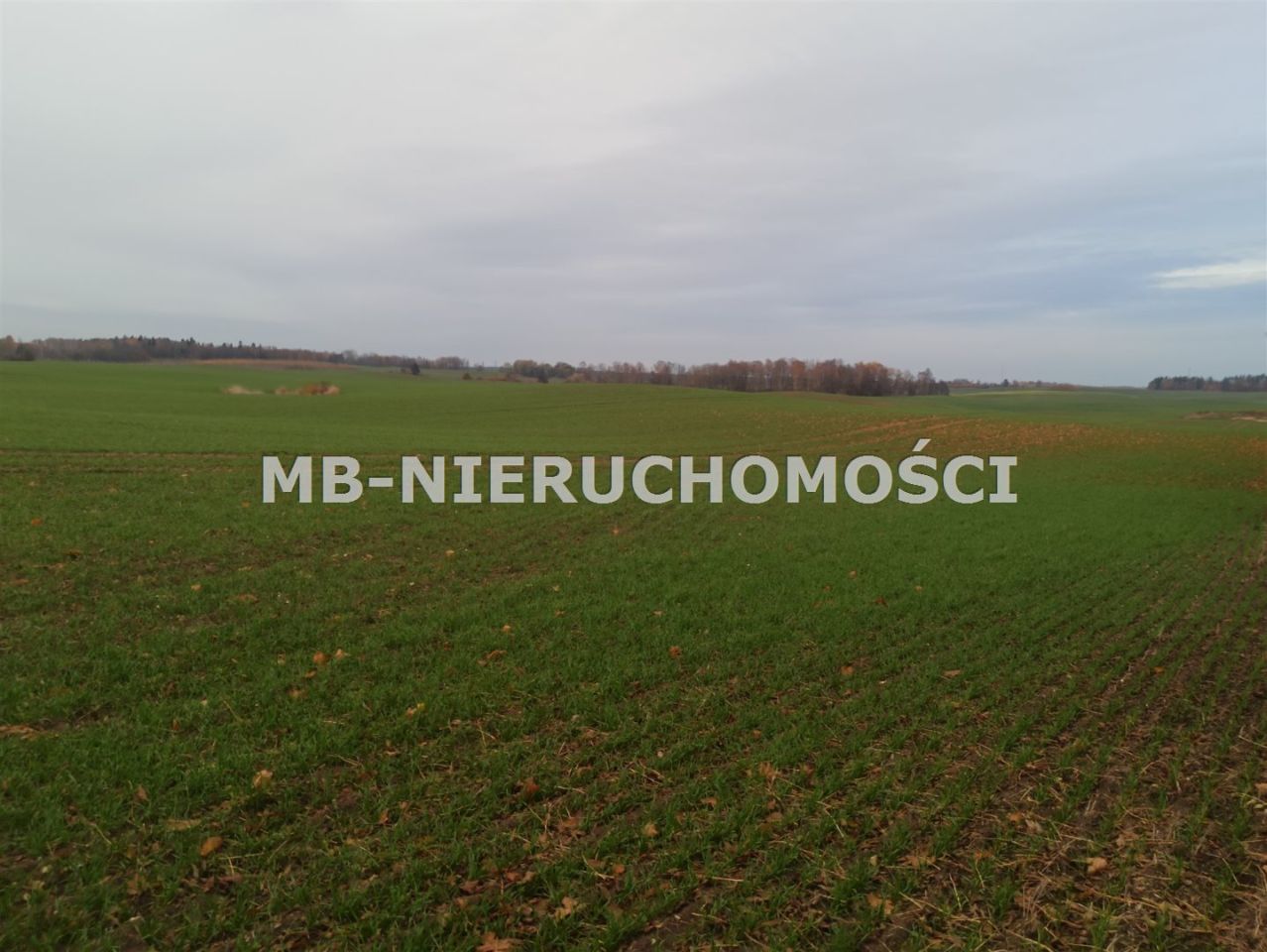 Działka rolna Jurgi. Zdjęcie 6