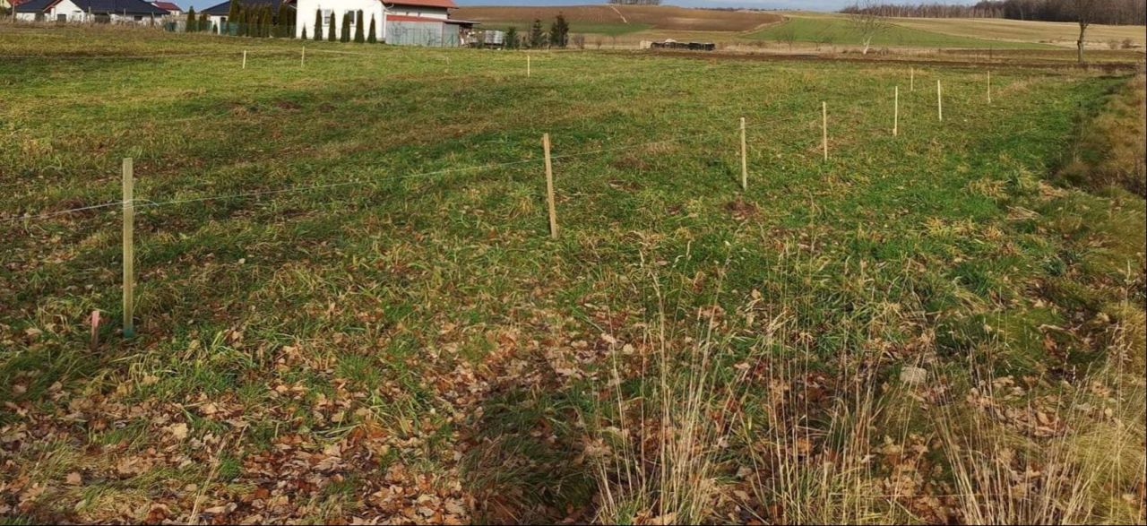 Działka budowlana Tylice, ul. Truskawkowa. Zdjęcie 6