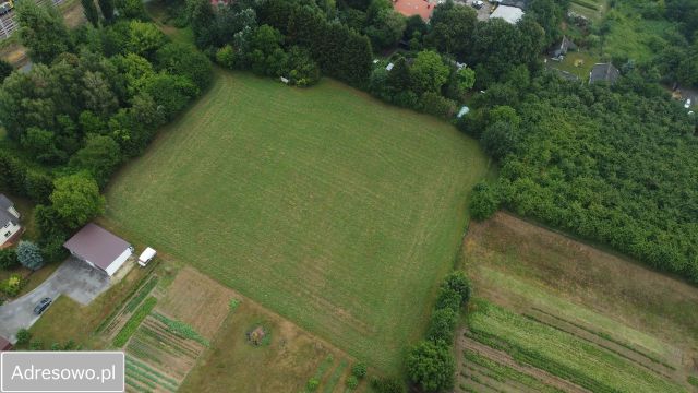 Działka rolno-budowlana Drzewce-Kolonia. Zdjęcie 1