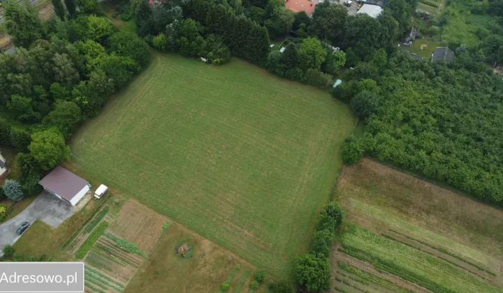 Działka rolno-budowlana Drzewce-Kolonia