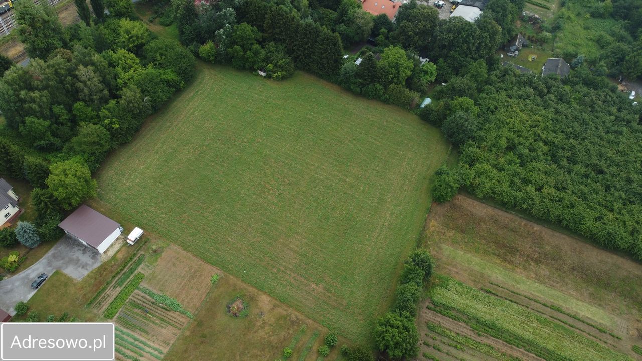 Działka rolno-budowlana Drzewce-Kolonia. Zdjęcie 1