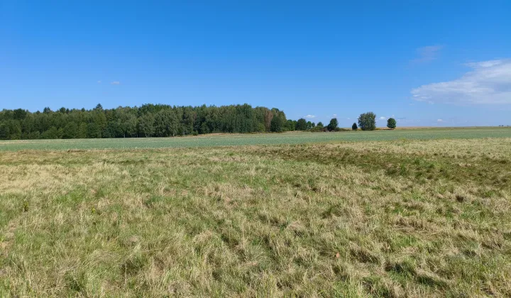 Działka budowlana Zapusta Rajsko