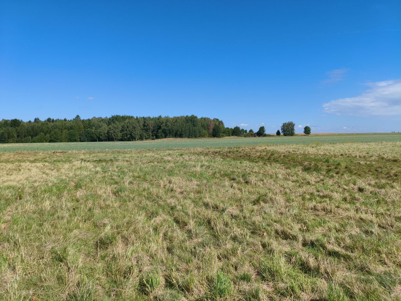 Działka budowlana Zapusta Rajsko. Zdjęcie 1