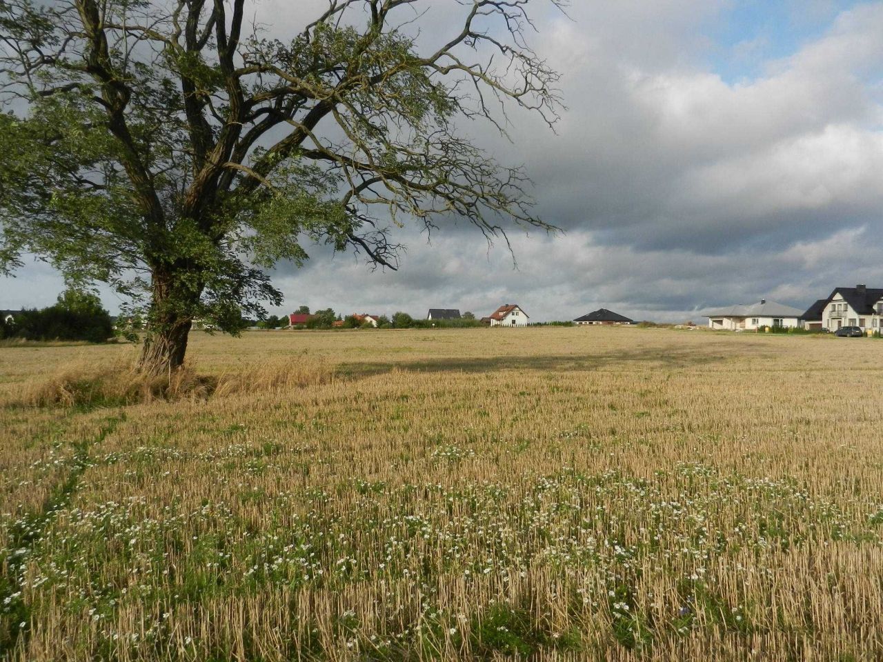 Działka inwestycyjna Stare Bielice. Zdjęcie 8