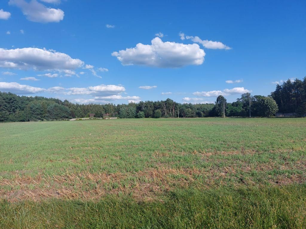Działka rolno-budowlana Zamęty. Zdjęcie 7