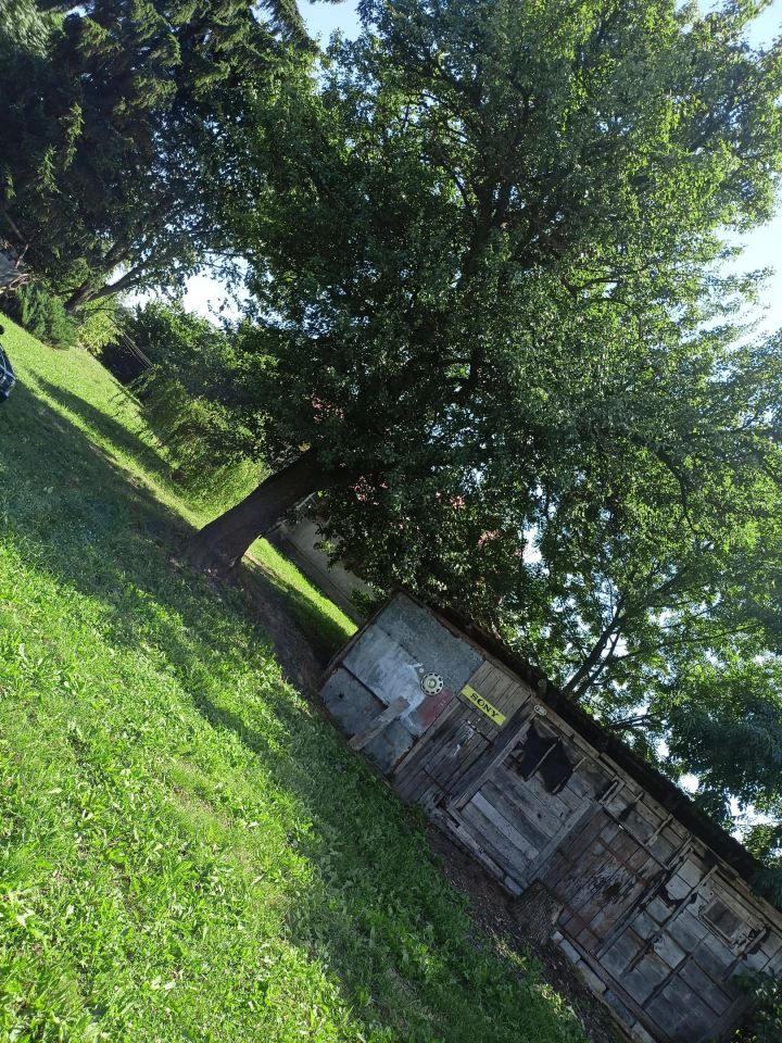 gospodarstwo, 3 pokoje Annopol. Zdjęcie 14