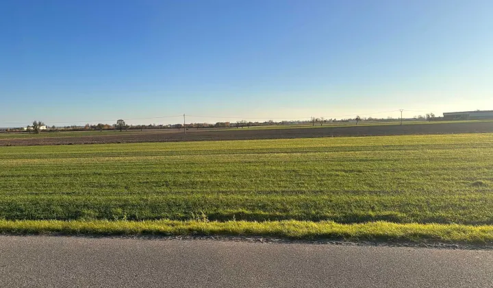 Działka budowlana Brzezie