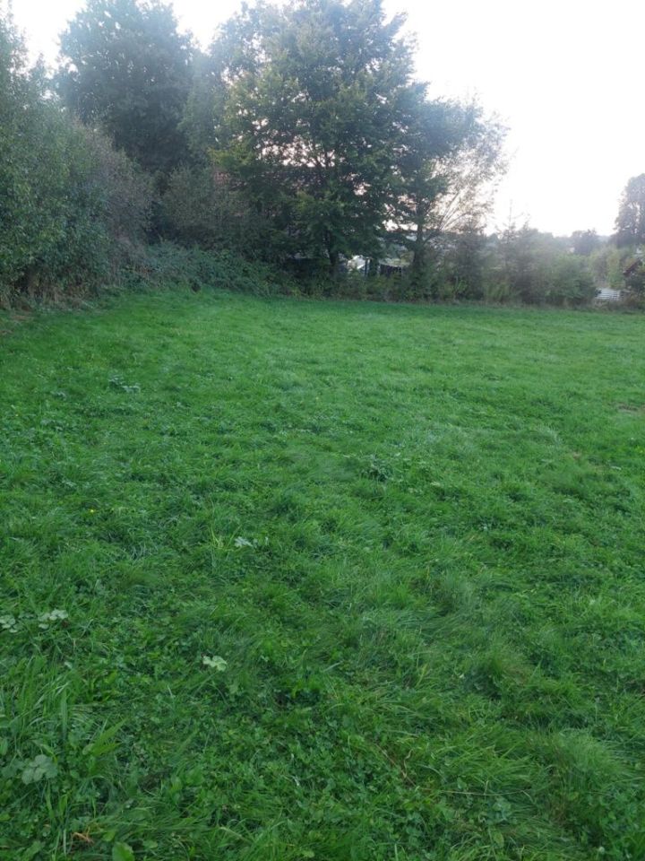 Działka budowlana Lwówek Śląski, ul. Płakowicka. Zdjęcie 5