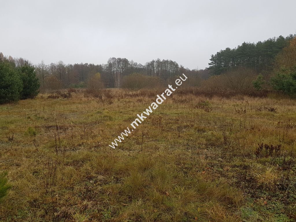 Działka budowlana Ojrzanów. Zdjęcie 7