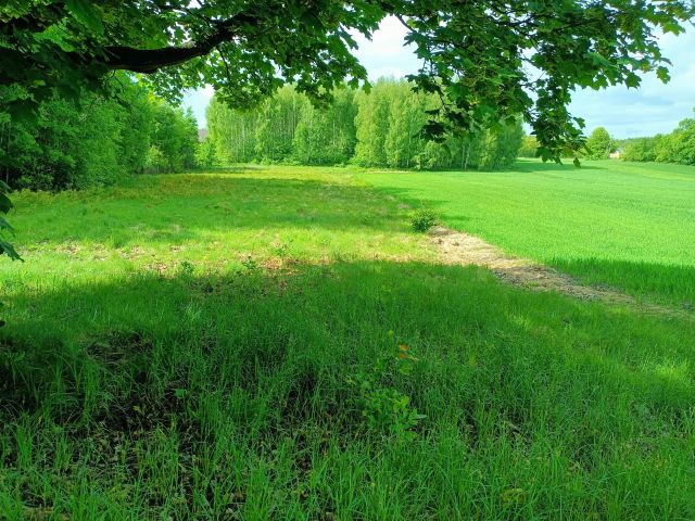 Działka rolno-budowlana Nowe Byliny. Zdjęcie 1