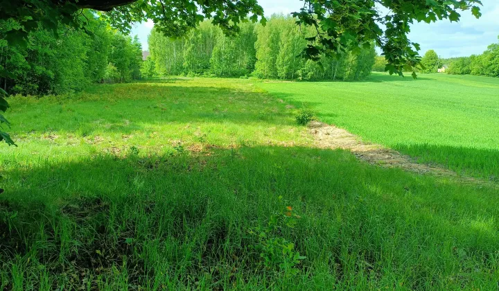 Działka rolno-budowlana Nowe Byliny