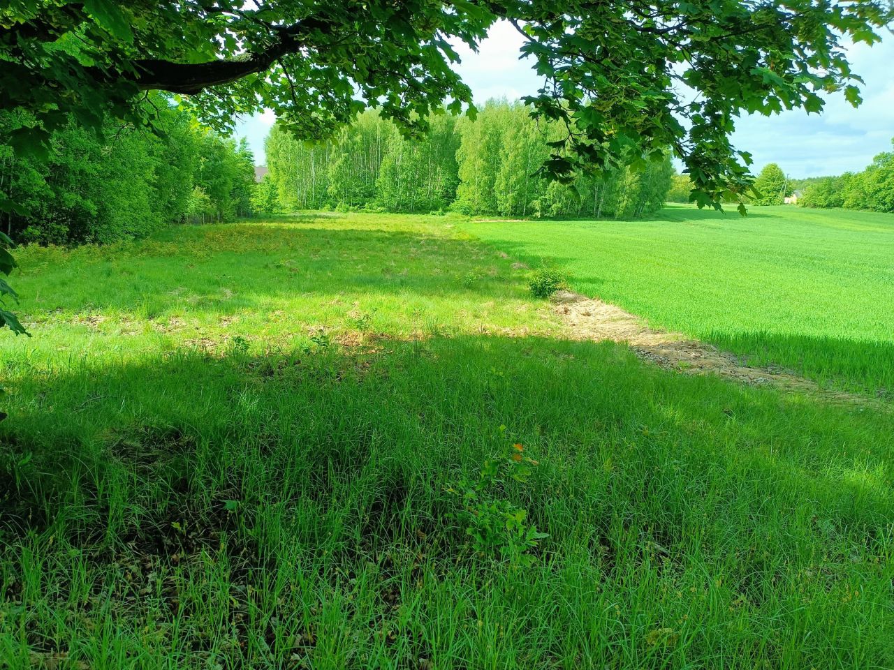Działka rolno-budowlana Nowe Byliny. Zdjęcie 1
