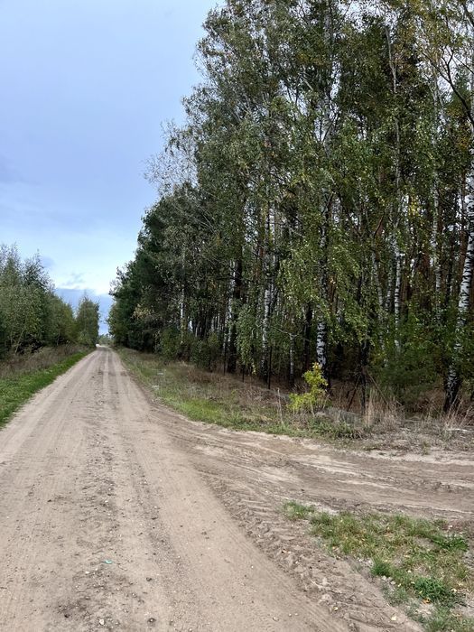 Działka budowlana Olszanka. Zdjęcie 7