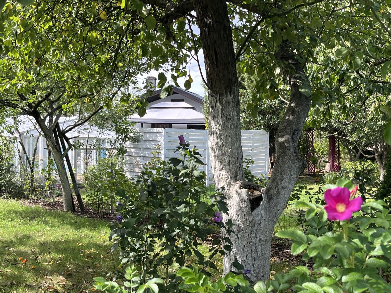 Działka rod Szczecin Pomorzany, ul. Przy Ogrodach. Zdjęcie 10