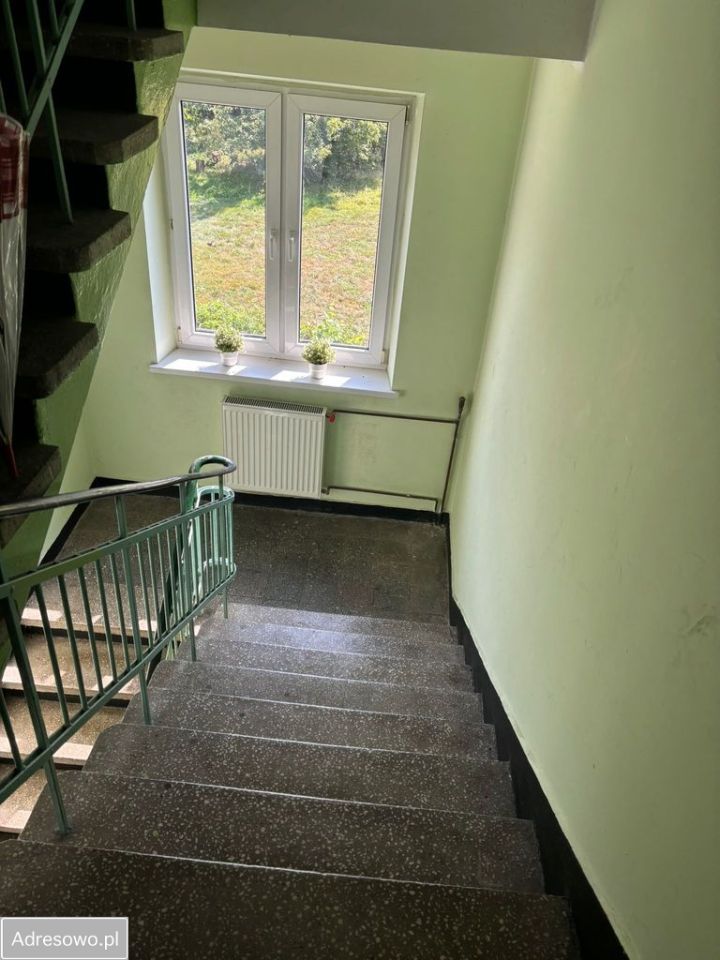 dom wolnostojący, 6 pokoi Świedziebnia. Zdjęcie 17