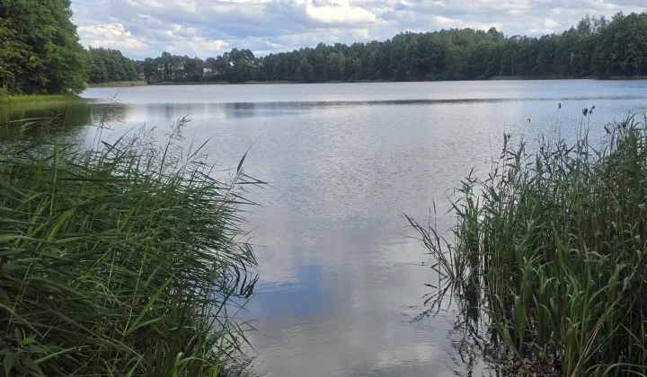 Działka rekreacyjna Żałe