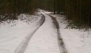 Działka leśna Raków