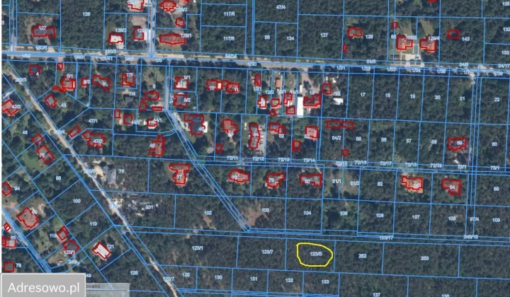 Działka leśna Warszawa Radość