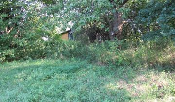 Działka siedliskowa Stawki