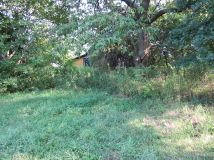 Działka siedliskowa Stawki. Zdjęcie 1