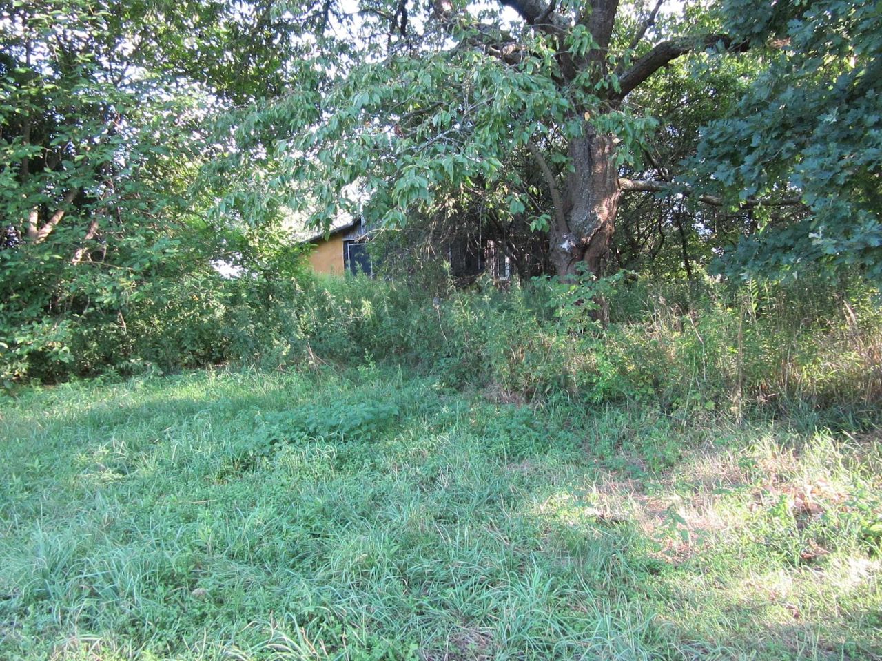 Działka siedliskowa Stawki. Zdjęcie 2